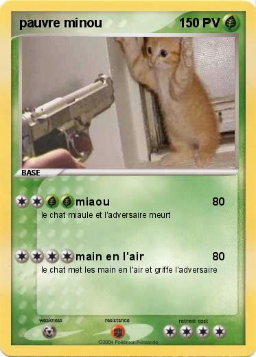 Pokemon pauvre minou