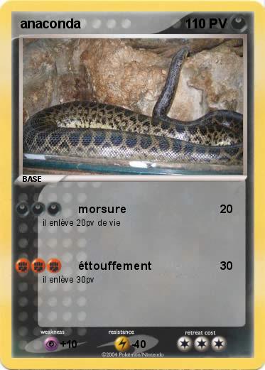 Pokemon anaconda