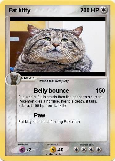 Pokemon Fat kitty