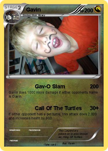 Pokemon Gavin