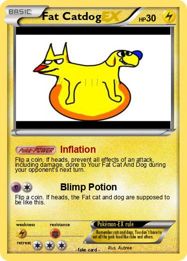 Pokemon Fat Catdog