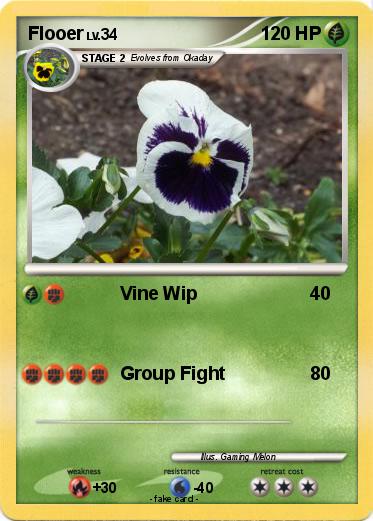 Pokemon Flooer