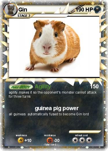 Pokemon Gin