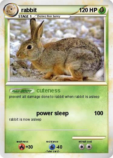Pokemon rabbit