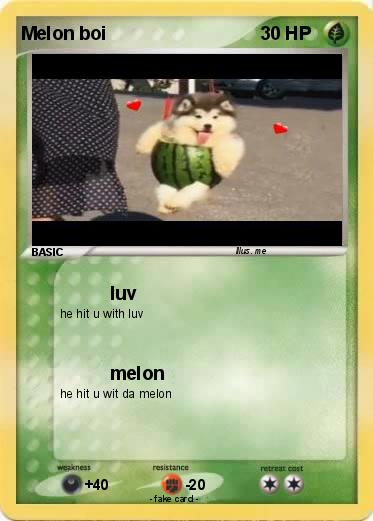 Pokemon Melon boi