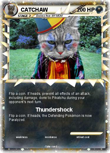 Pokemon CATCHAW