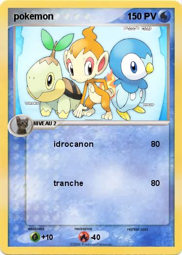 Pokemon pokemon
