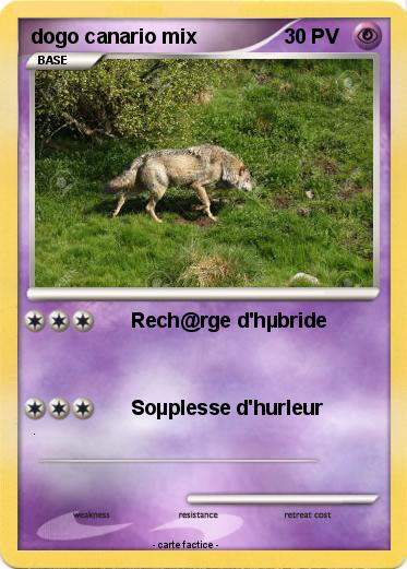 Pokemon dogo canario mix