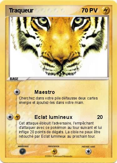 Pokemon Traqueur