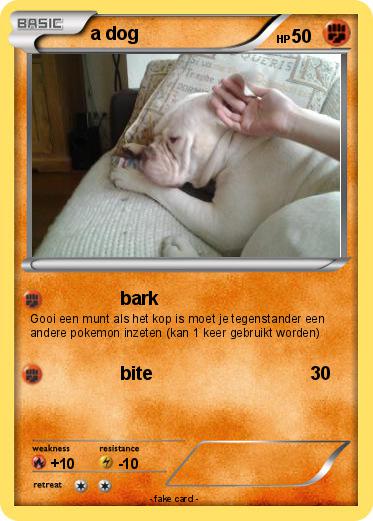 Pokemon a dog