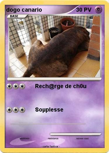 Pokemon dogo canario