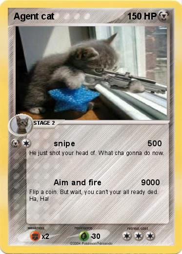 Pokemon Agent cat