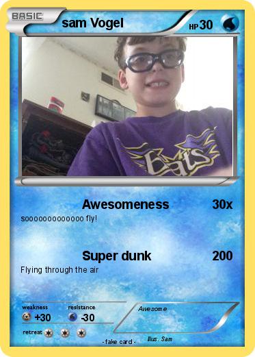 Pokemon sam Vogel