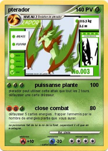 Pokemon pterador