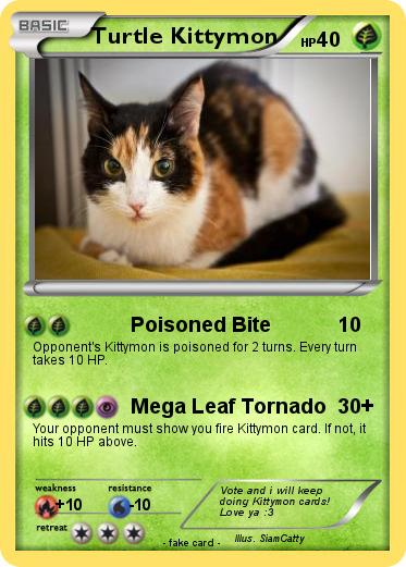 Pokemon Turtle Kittymon