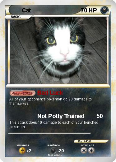 Pokemon Cat