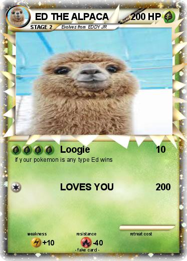 Pokemon ED THE ALPACA