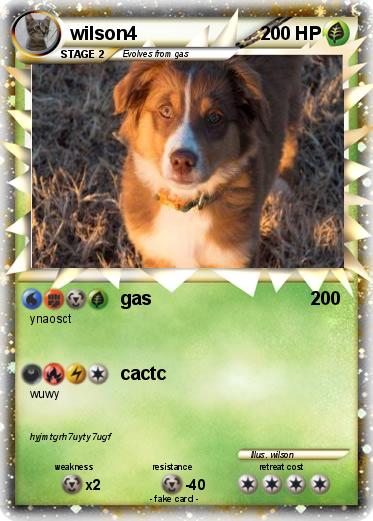 Pokemon wilson4