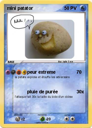 Pokemon mini patator