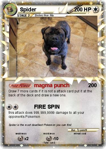 Pokemon Spider