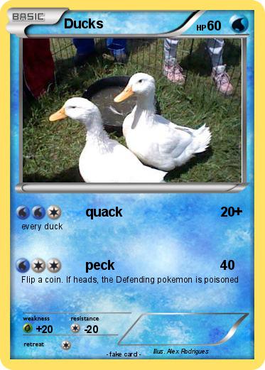 Pokemon Ducks