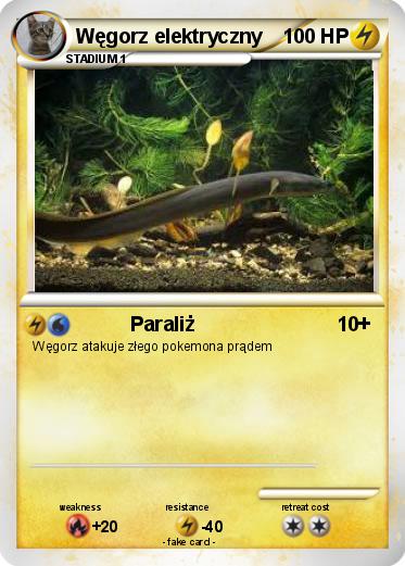 Pokemon Węgorz elektryczny