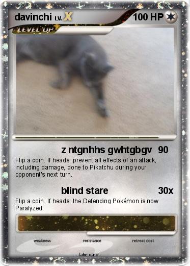 Pokemon davinchi