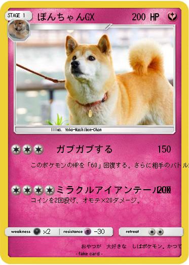 Pokemon ぼんちゃんGX