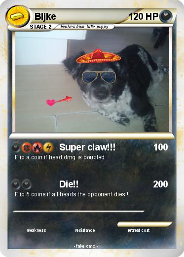 Pokemon Bijke