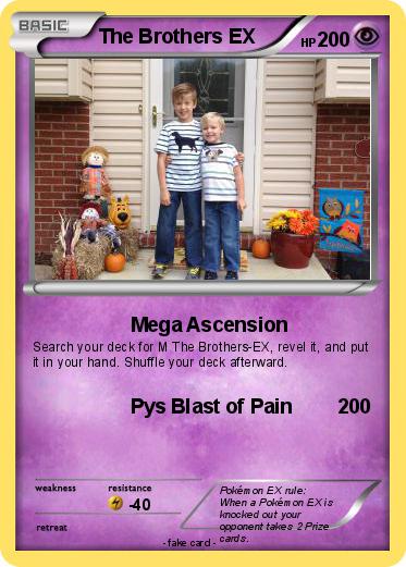 Pokemon The Brothers EX
