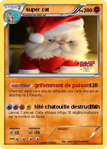 Pokemon super cat
