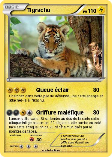 Pokemon Tigrachu