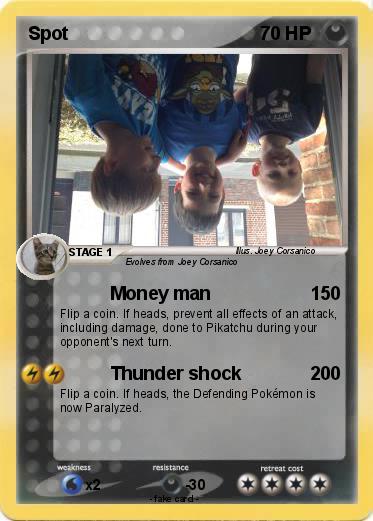 Pokemon Spot