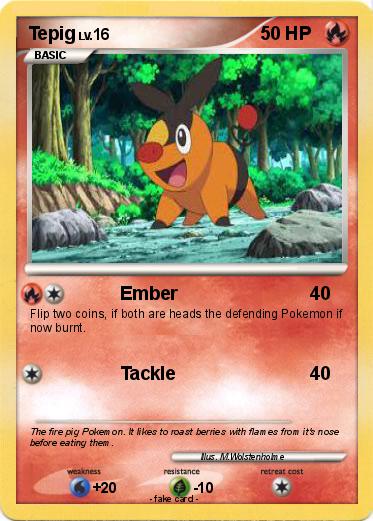 Pokemon Tepig