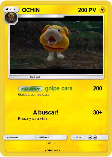 Pokemon OCHIN