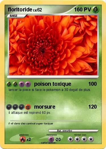 Pokemon floritoride