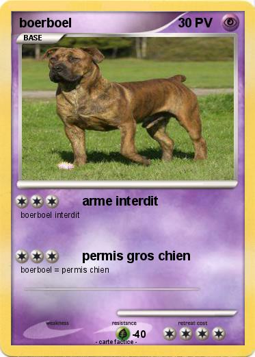 Pokemon boerboel