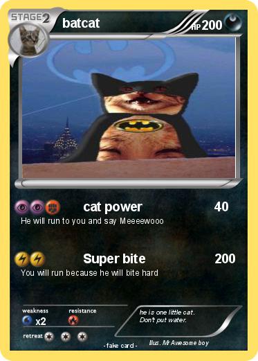 Pokemon batcat