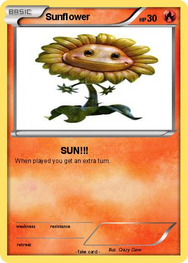 Pokemon Sunflower