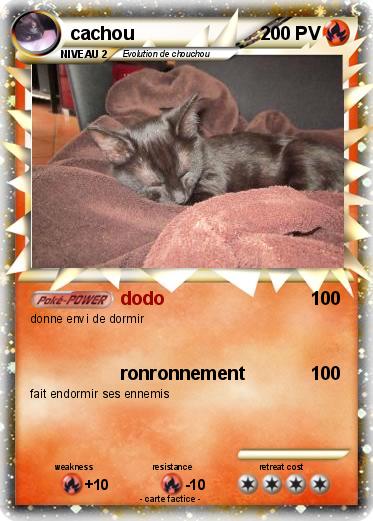 Pokemon cachou