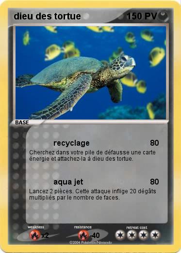 Pokemon dieu des tortue
