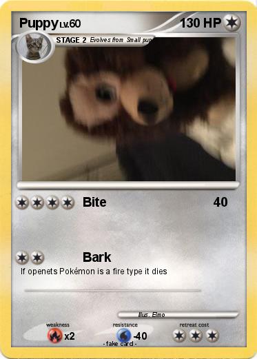 Pokemon Puppy