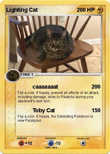 Pokemon Lighting Cat