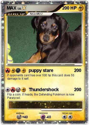 Pokemon MAX