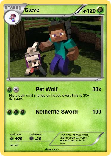 Pokemon Steve