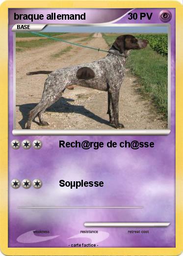 Pokemon braque allemand