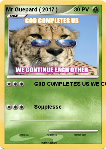 Pokemon Mr Guepard ( 2017 )