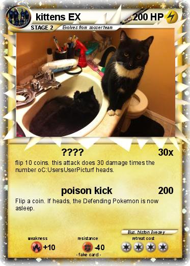 Pokemon kittens EX