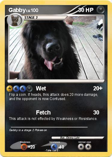 Pokemon Gabby