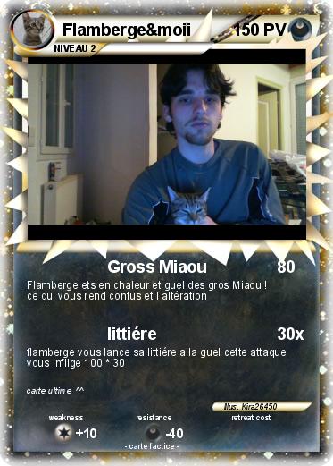 Pokemon Flamberge&moii